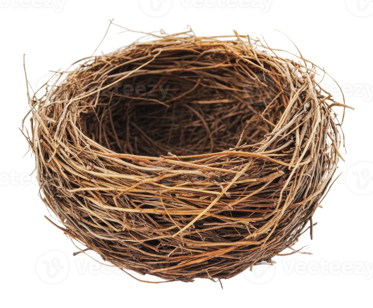 Natural bird nest made from twigs and grass png