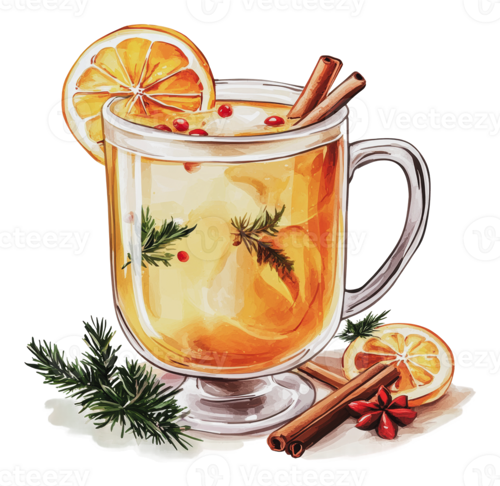 Warm citrus drink with spices and garnishes png