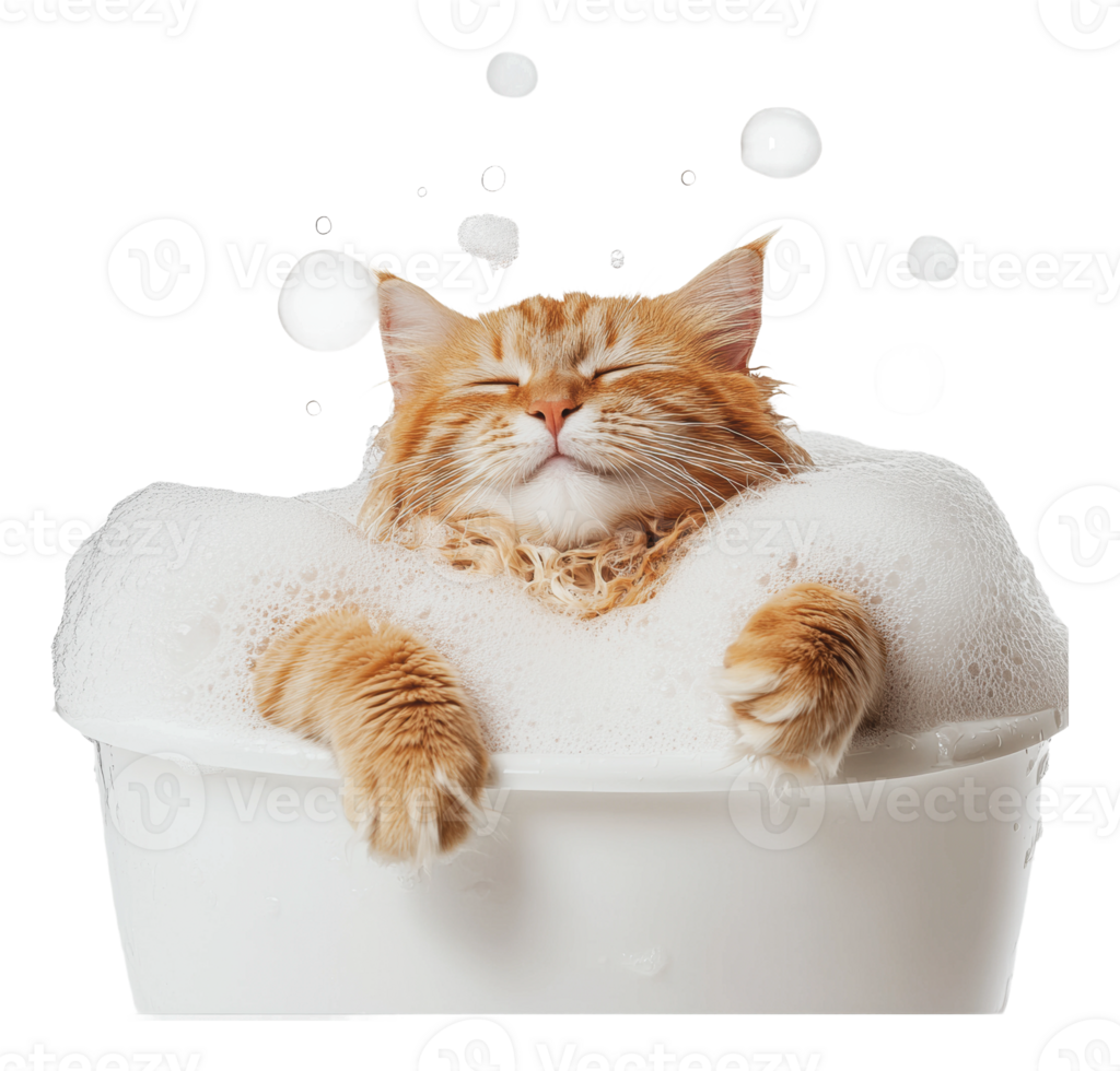 Cat enjoying a bubble bath in a white tub png