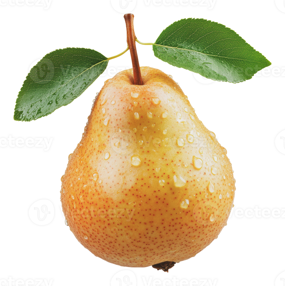 Freshly picked pear with water droplets png