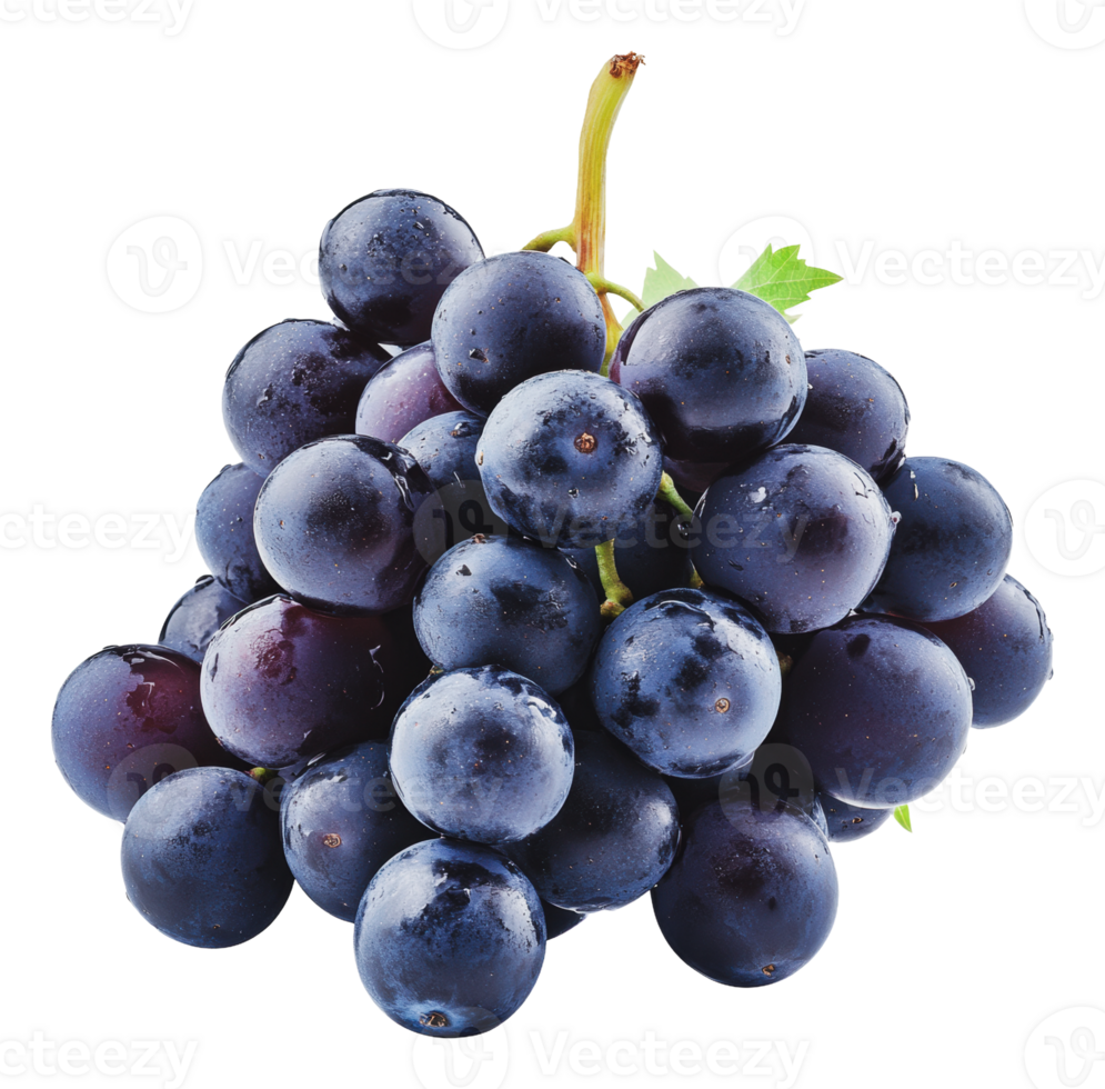 Fresco negro uvas para comiendo y recetas png