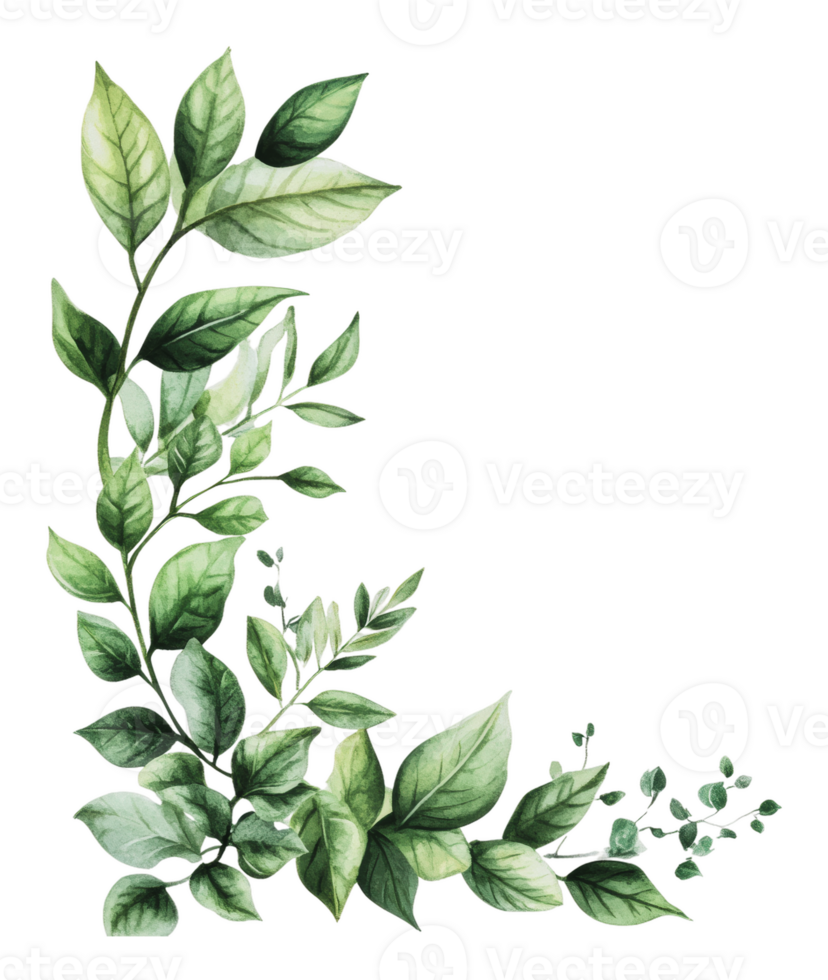 Leafy botanical illustration with a fresh look png