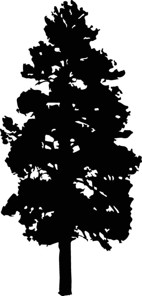 Pine tree silhouette . Fir-tree illustration isolated on white background. vector