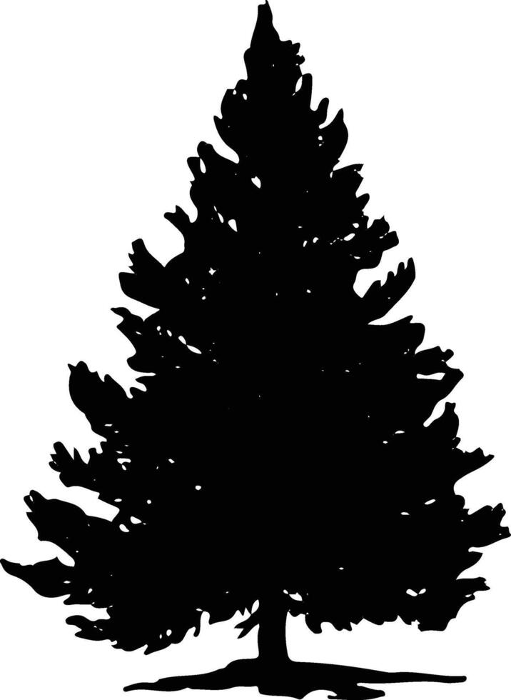 Silhouette pine tree . Fir-tree illustration isolated on white background. vector