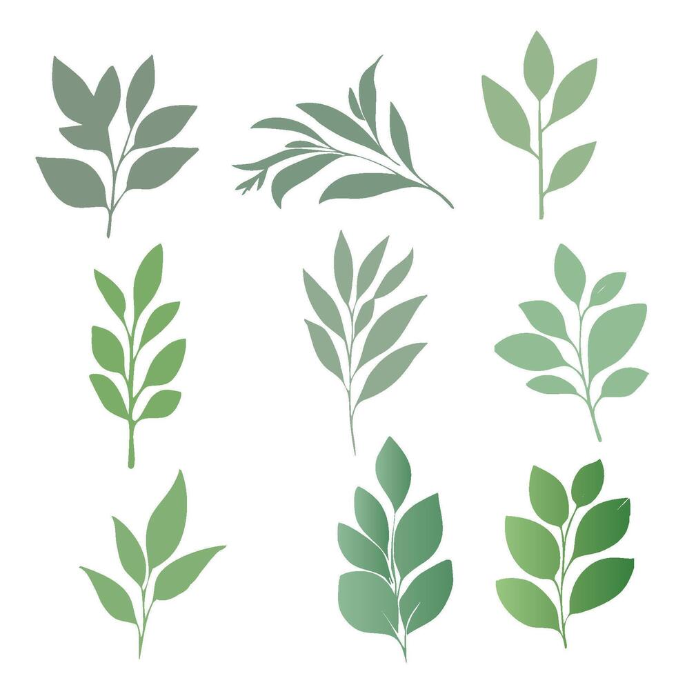 Botanical Design Elements vector