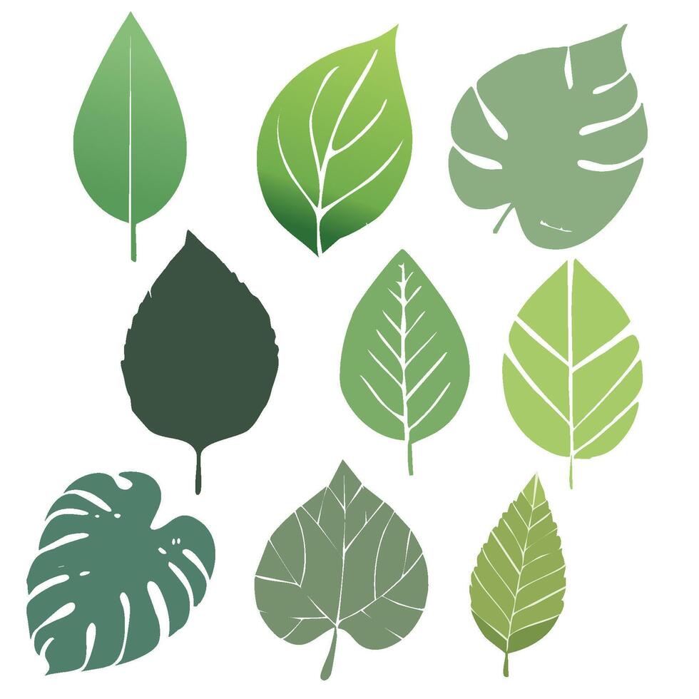 Green Leaf Silhouette Icons vector