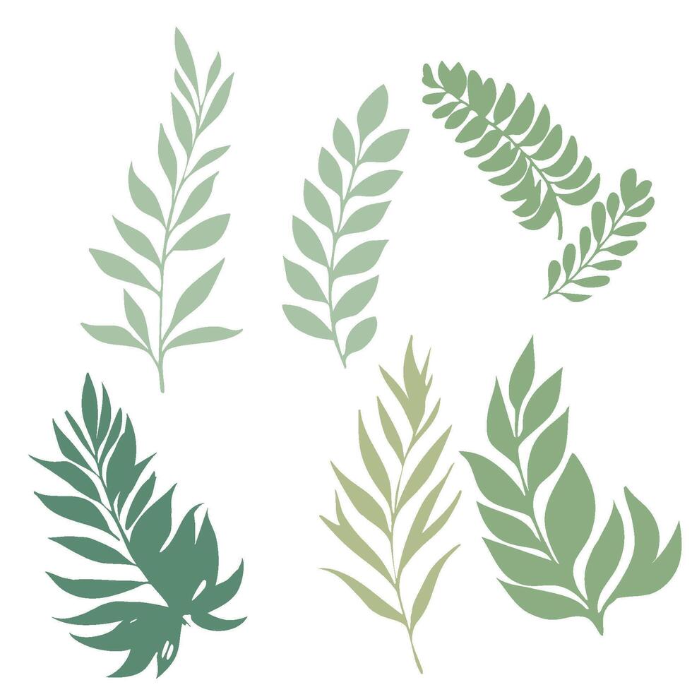 Minimalist Botanical Design Elements vector