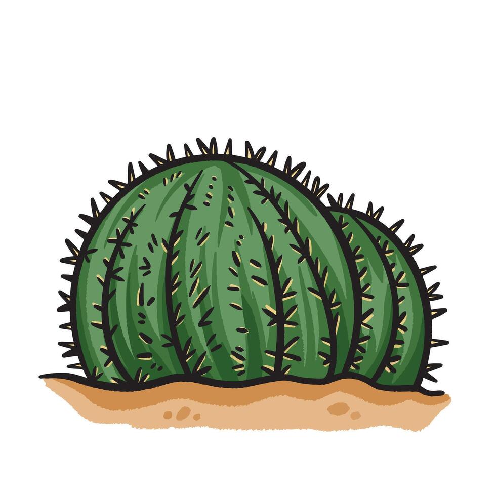 Golden barrel cactus plant colorful illustration drawing isolated on square white background. Simple flat outlined cartoon art styled drawing. vector