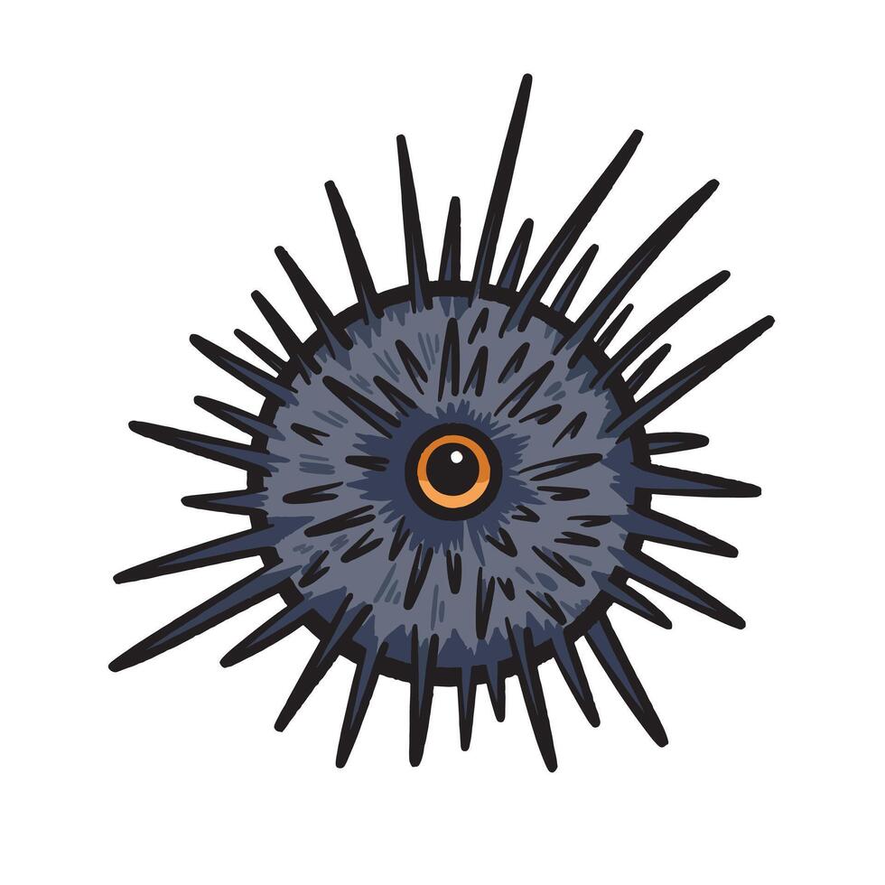 Sea urchin colorful illustration drawing isolated on square white background. Simple flat outlined cartoon art styled drawing. vector