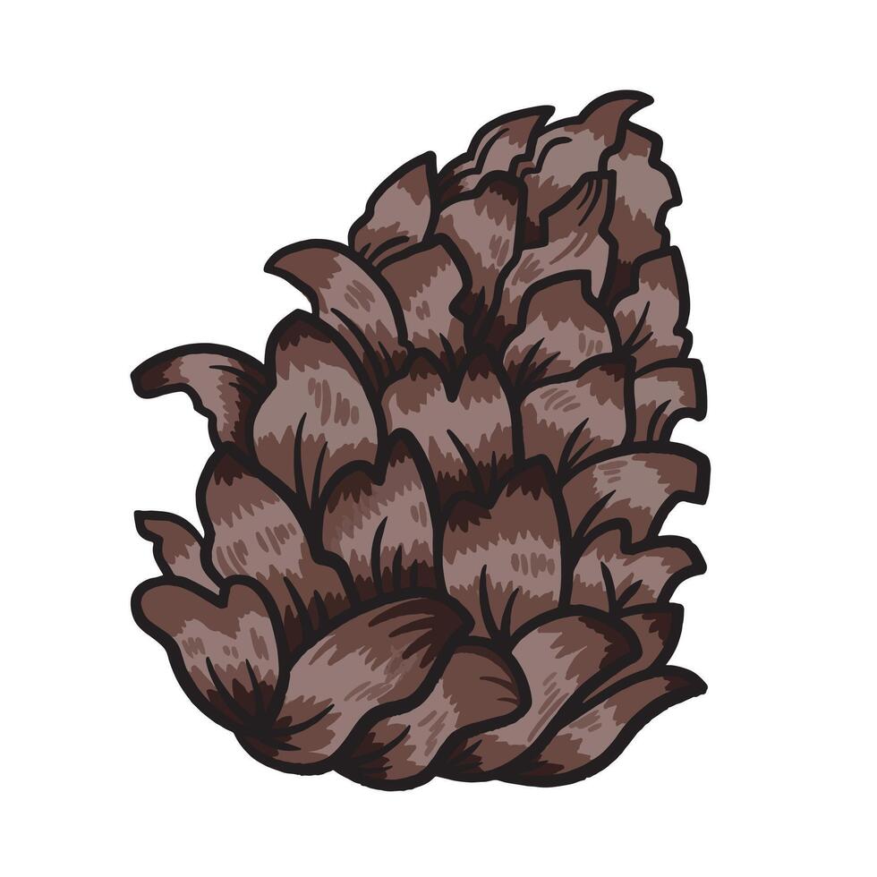 Pine cone colorful illustration drawing isolated on square white background. Simple flat outlined cartoon art styled drawing. vector