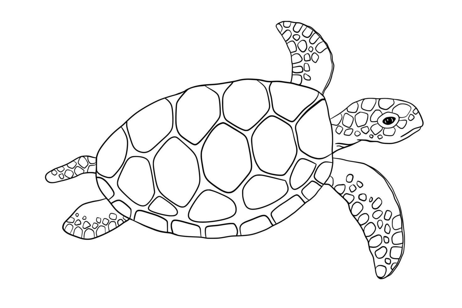 swimming outline turtle isolated on white background. Hand drawn line doodle illustration ocean or underwater animal vector