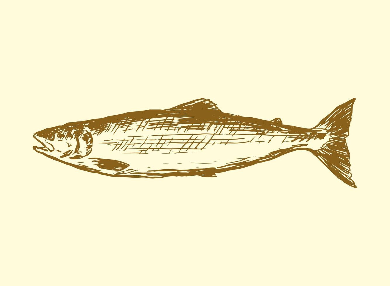 set of seafood Salmon Fish handdrawn illustration vector
