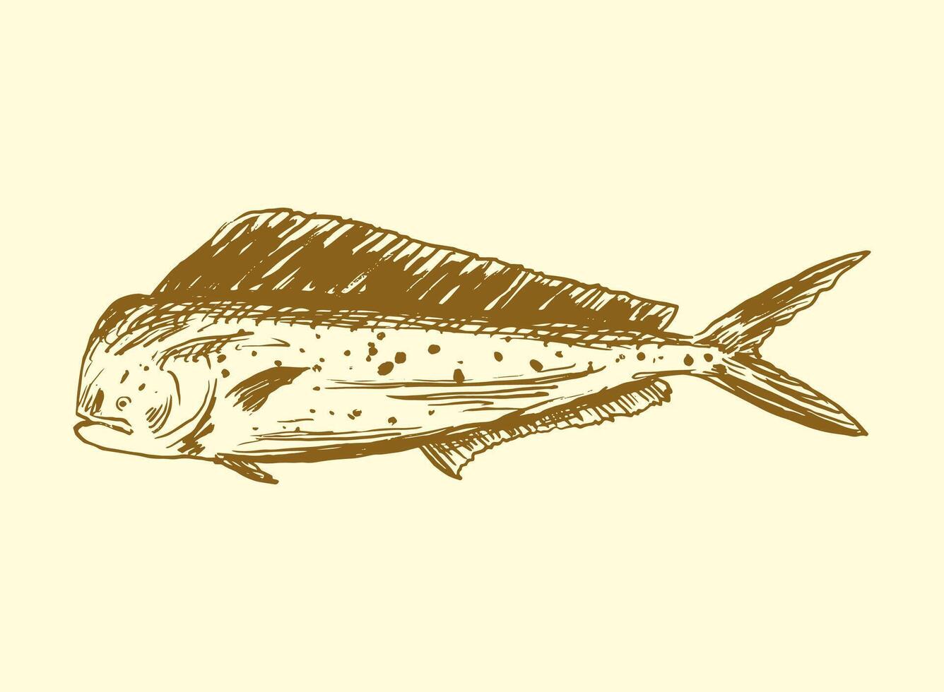 set of seafood Mahi Mahi Fish handdrawn illustration vector