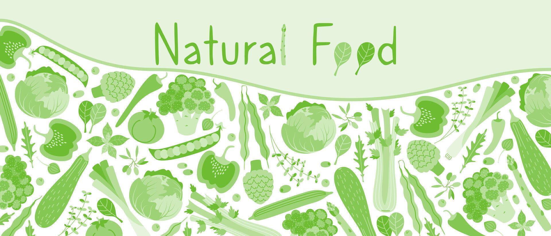 Banner of organic, fresh, natural, green vegetables and herbs. The concept of proper nutrition. Illustration for eco-shop, market design. vector