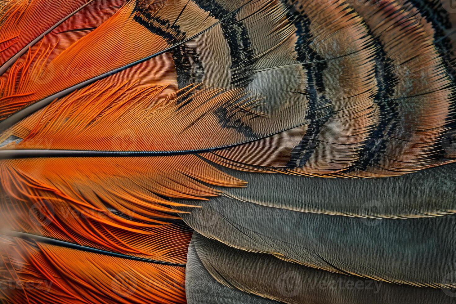 Vibrant orange and brown bird feathers creating artistic design photo