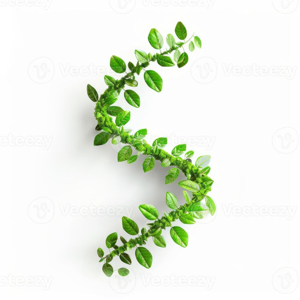 Green liana branch forming letter s shape on white background photo