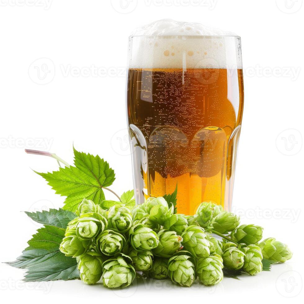 Glass of beer with beer hops and leaves on white background photo