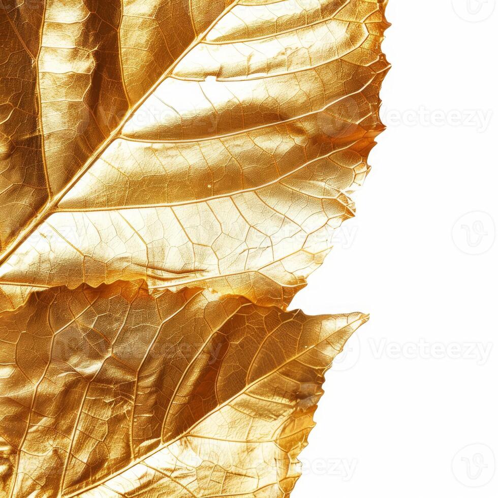 Golden leaves creating luxurious and elegant background photo