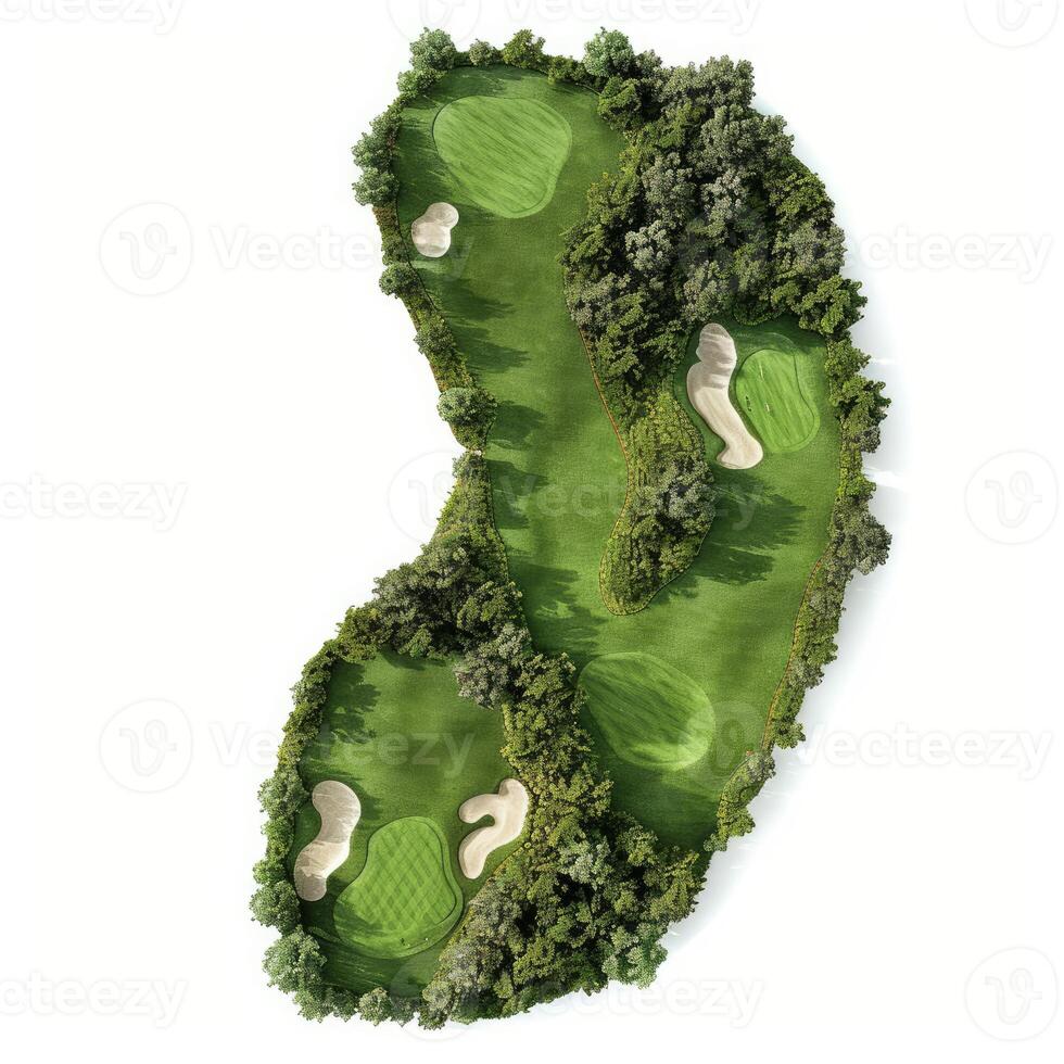 Golf course surrounded by lush green trees on white background photo