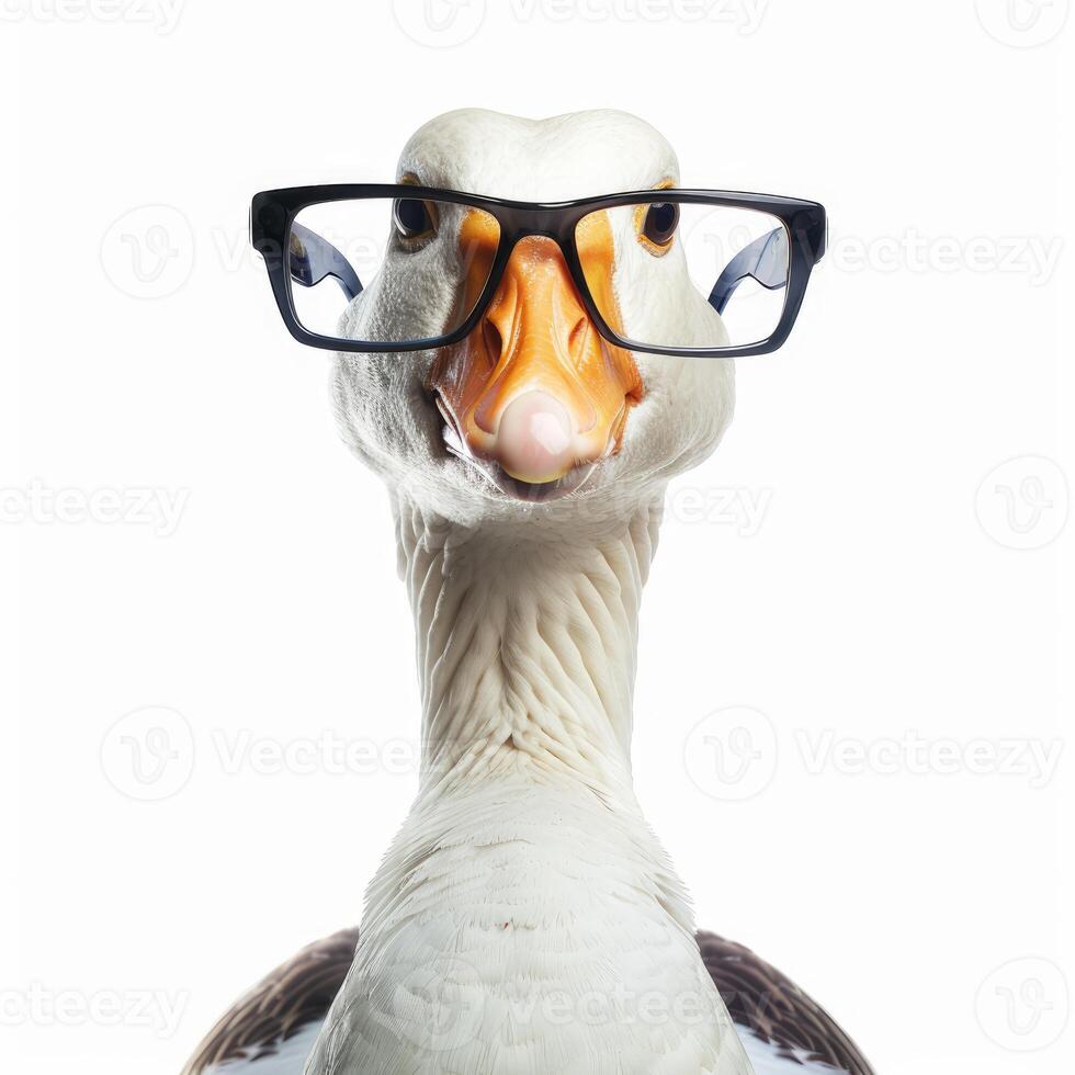 Goose wearing eyeglasses posing on white background photo