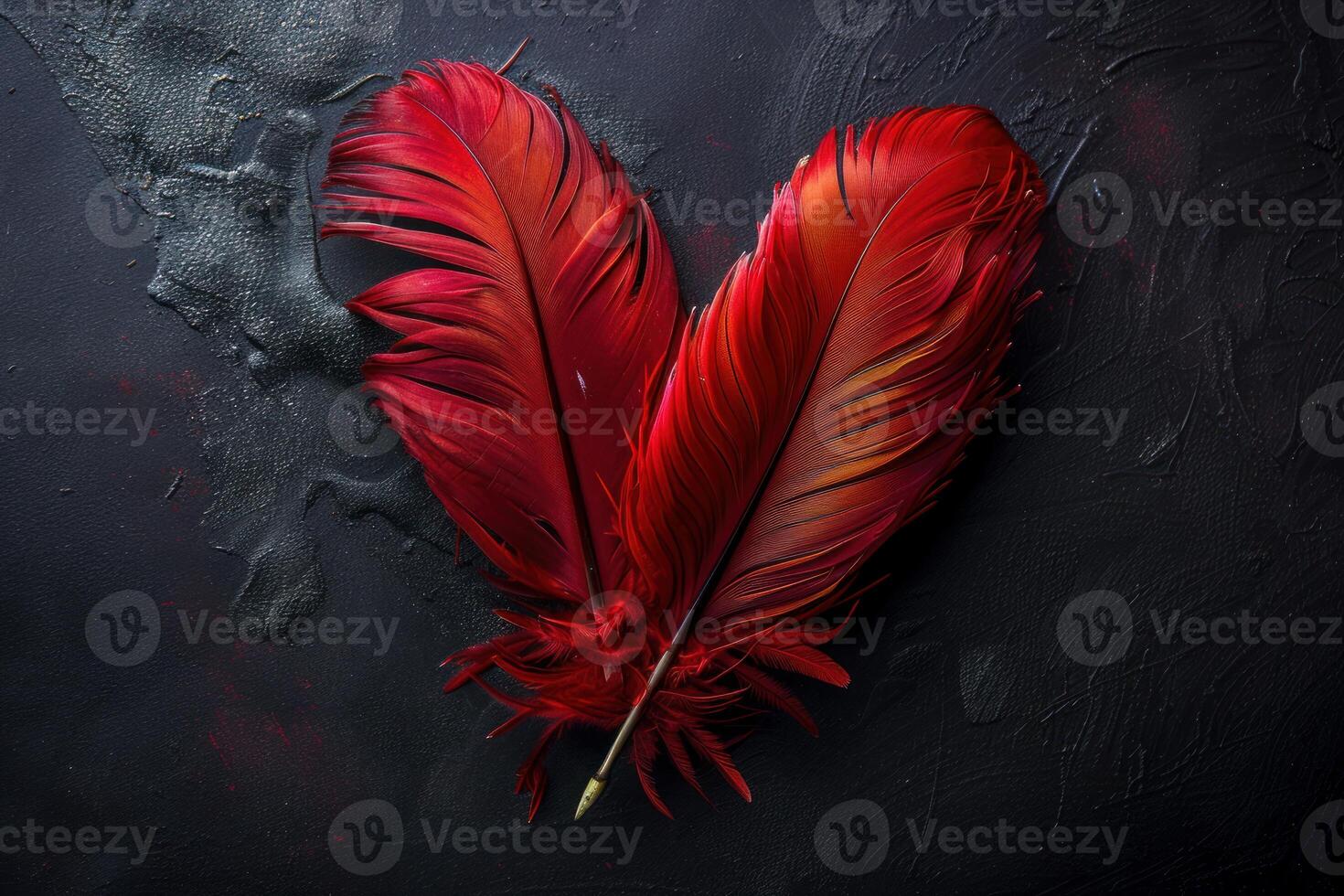 Two red feather pens forming heart shape on black background photo