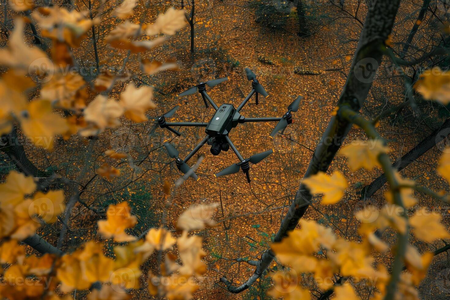 Drone flying above autumn woods with yellow fallen leaves photo