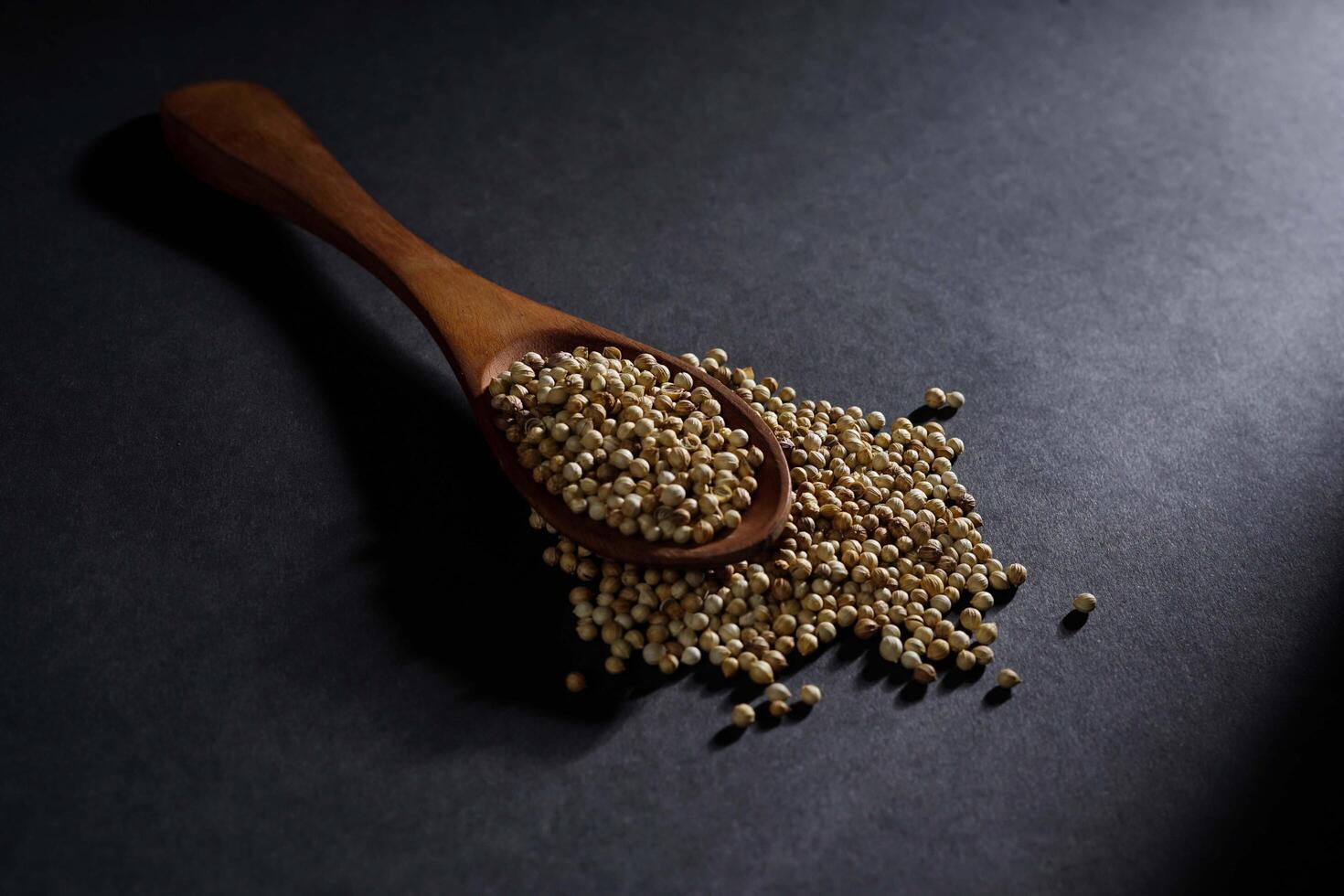 coriander seed in wooden spoon isolated on dark background, placed over a heap of whole coriander seeds, spice concept photo