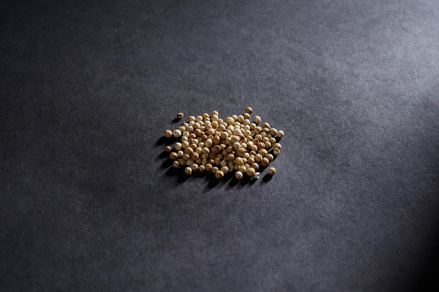 coriander seed isolated on dark background, spice concept, a Close-up background texture of dried coriander seeds photo