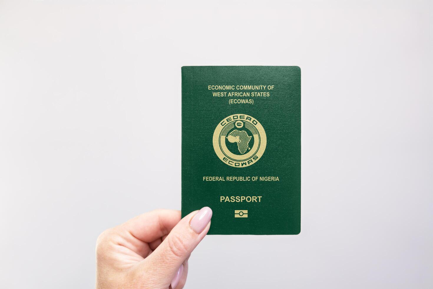 Passport Nigeria Held Against Simple White Background. Astana, Kazakhstan, 26 october 2024 photo