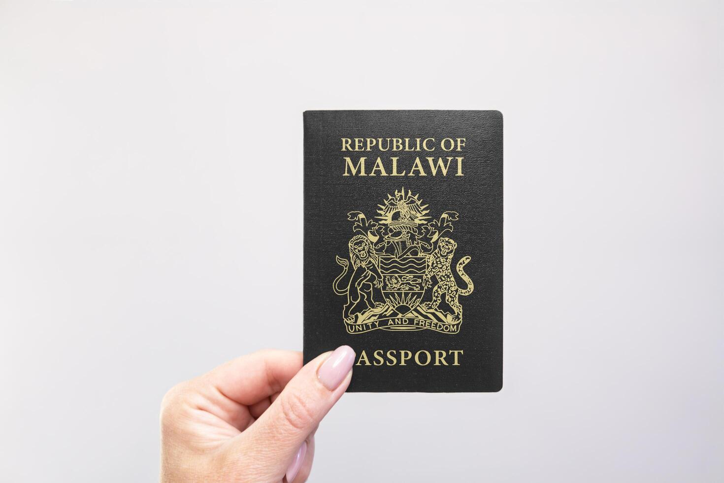 Passport Malawi Held Against Simple White Background. Astana, Kazakhstan, 26 october 2024 photo