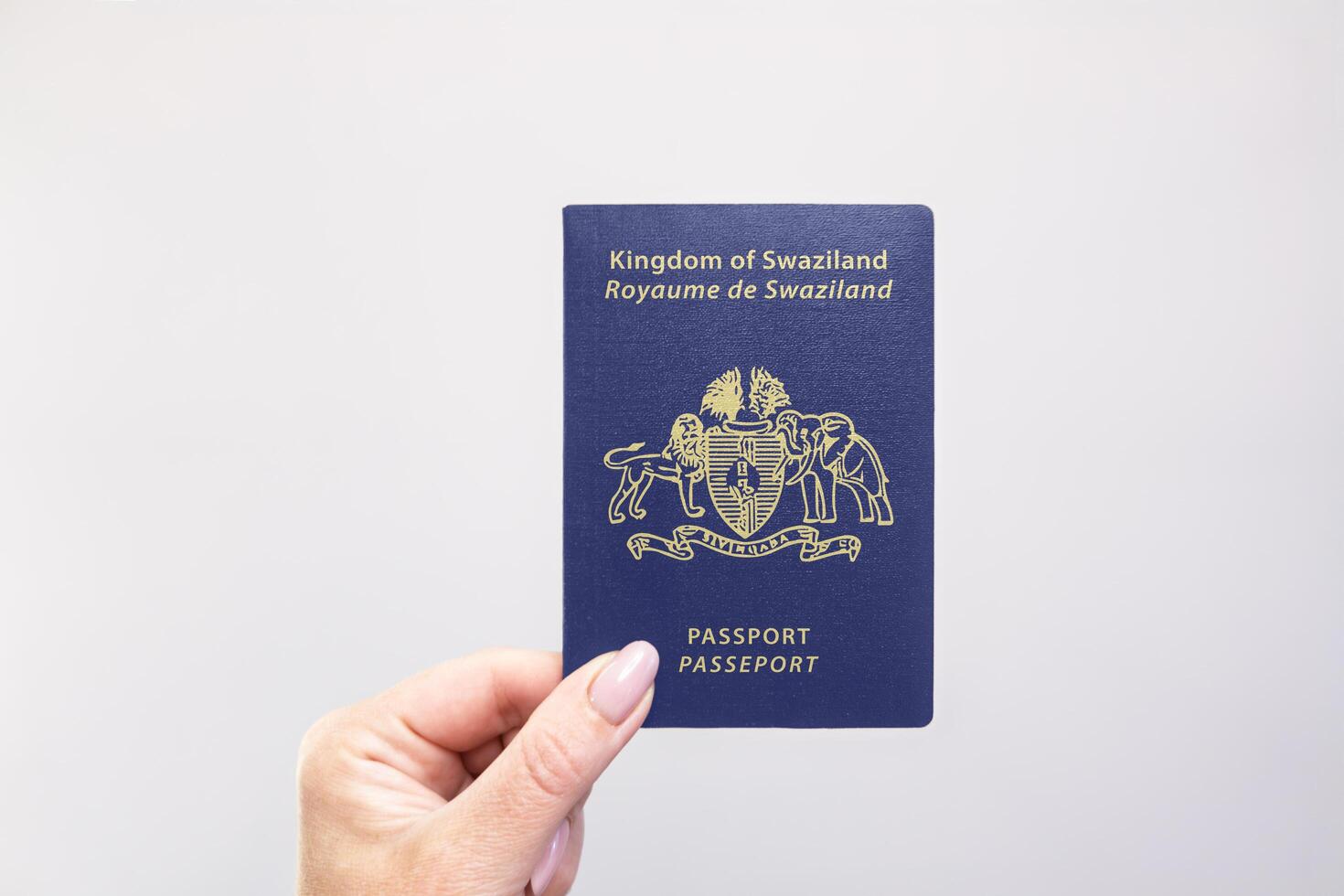 Passport Eswatini Held Against Simple White Background. Astana, Kazakhstan, 26 october 2024 photo