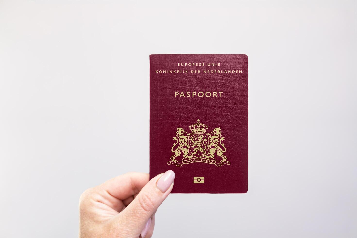 Netherlands Passport Held Against Simple White Background. Astana, Kazakhstan, 26 october 2024 photo