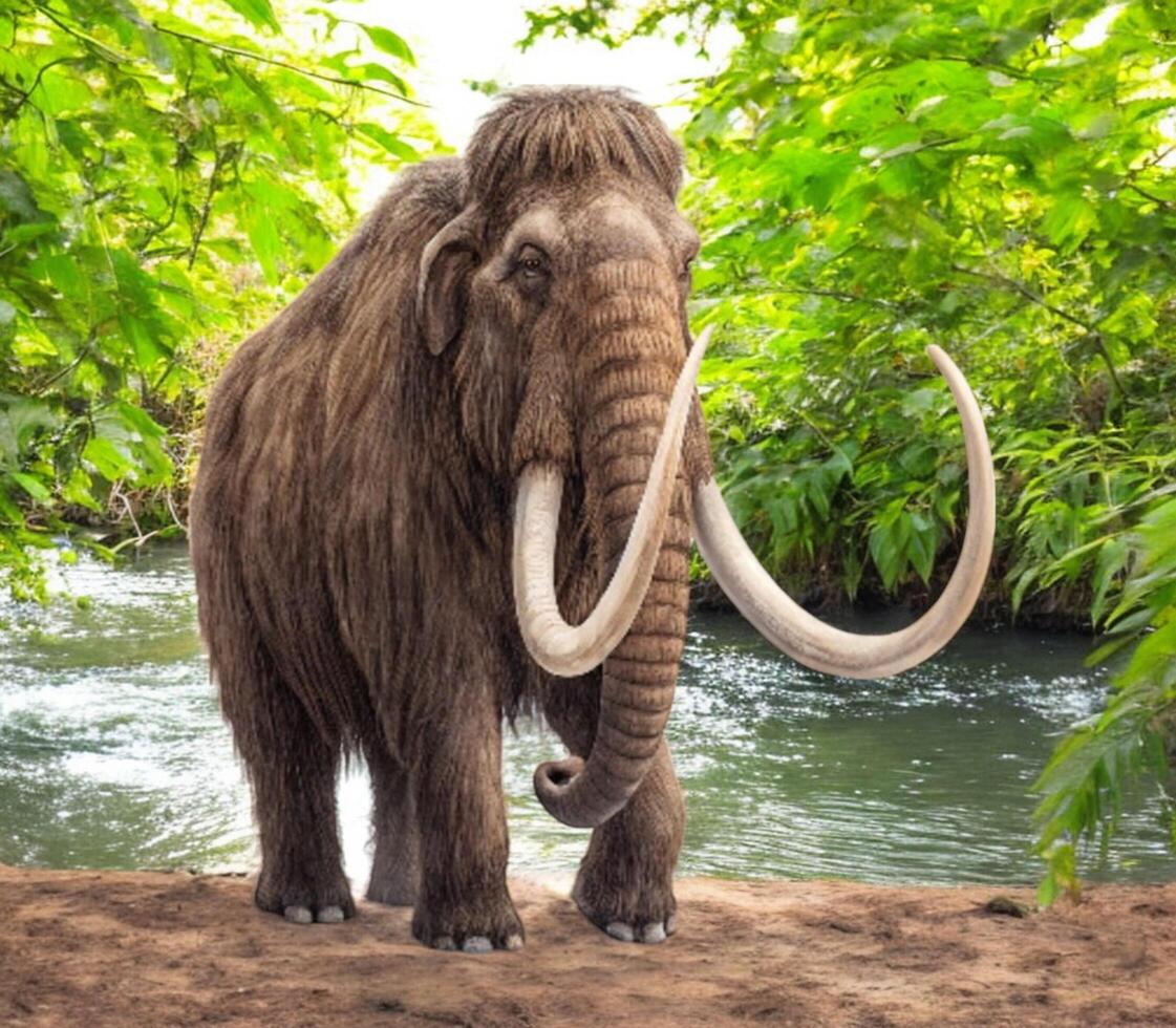 Woolly mammoth walking with large tusks and fur coat in realistic portrait photo