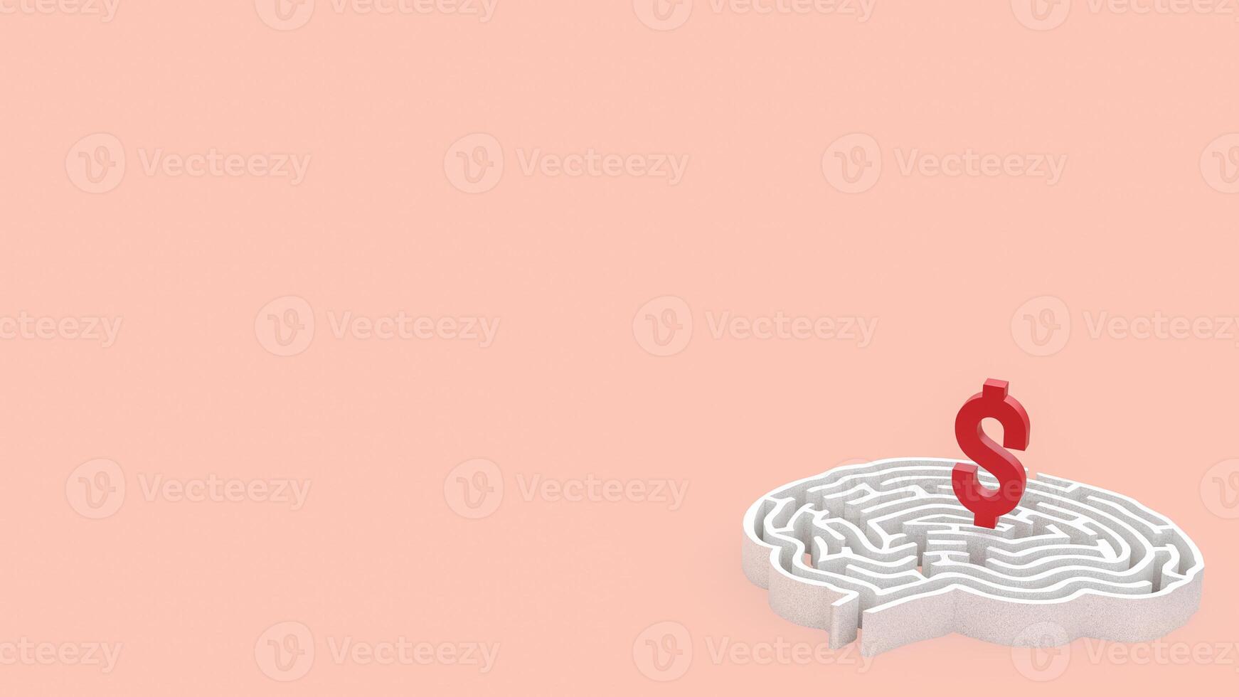 The dollar symbol on brain maze for Business concept 3d rendering. photo