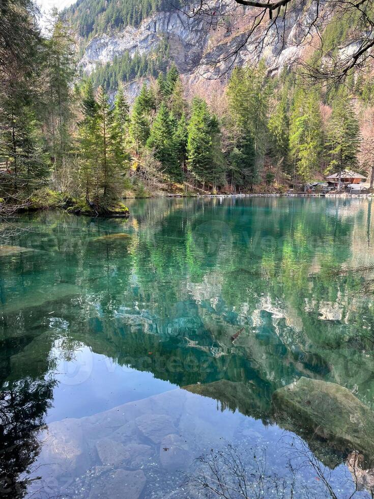 Clear water view in Blausee ,Blue Lake- Bernese Oberland, Switzerland. photo