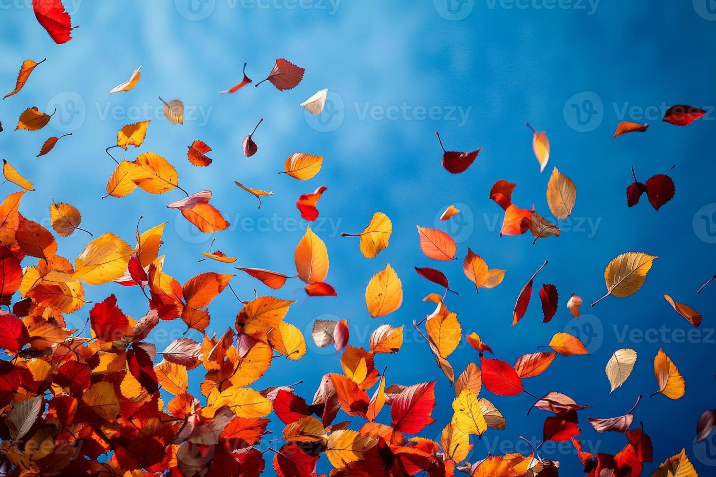 Colorful autumn leaves falling against a blue sky photo