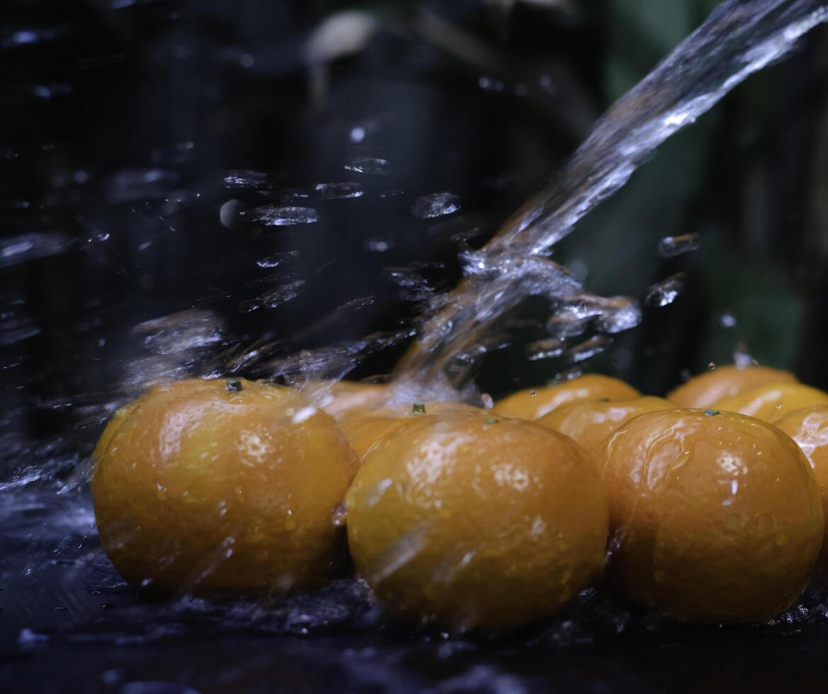 Orange fruit was wet with water splash, photo