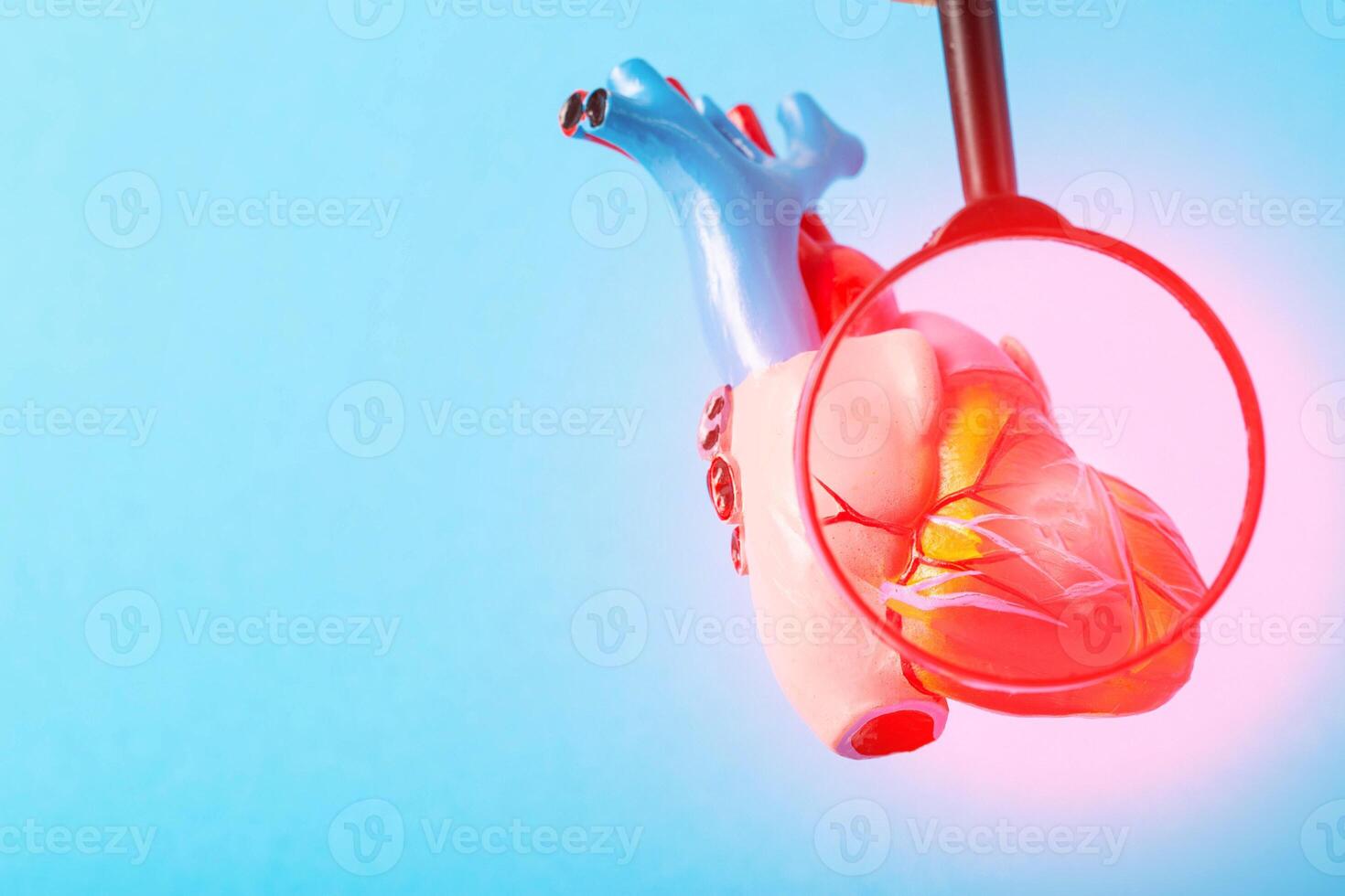 Medical mock-up of a heart under a magnifying glass on a blue background. Heart disease concept, inflammation of the heart muscle, myocardial infarction, coronary heart disease. Copy space for text photo