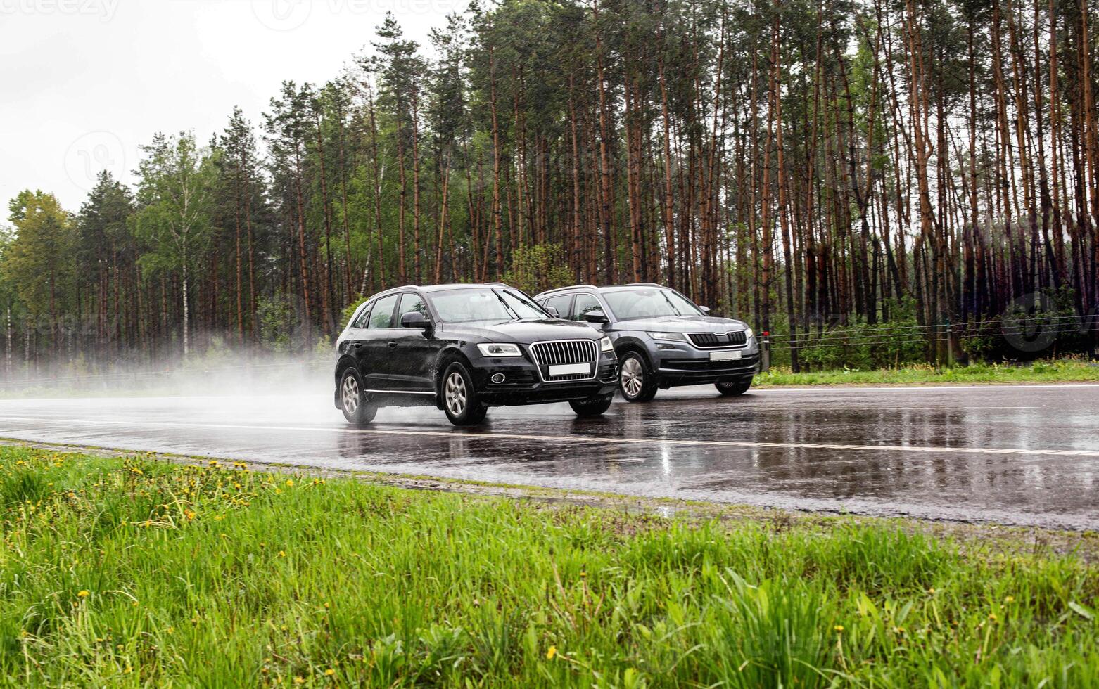 Two modern crossover cars drive on a wet country road in rainy weather against the backdrop of a forest, 4wd photo