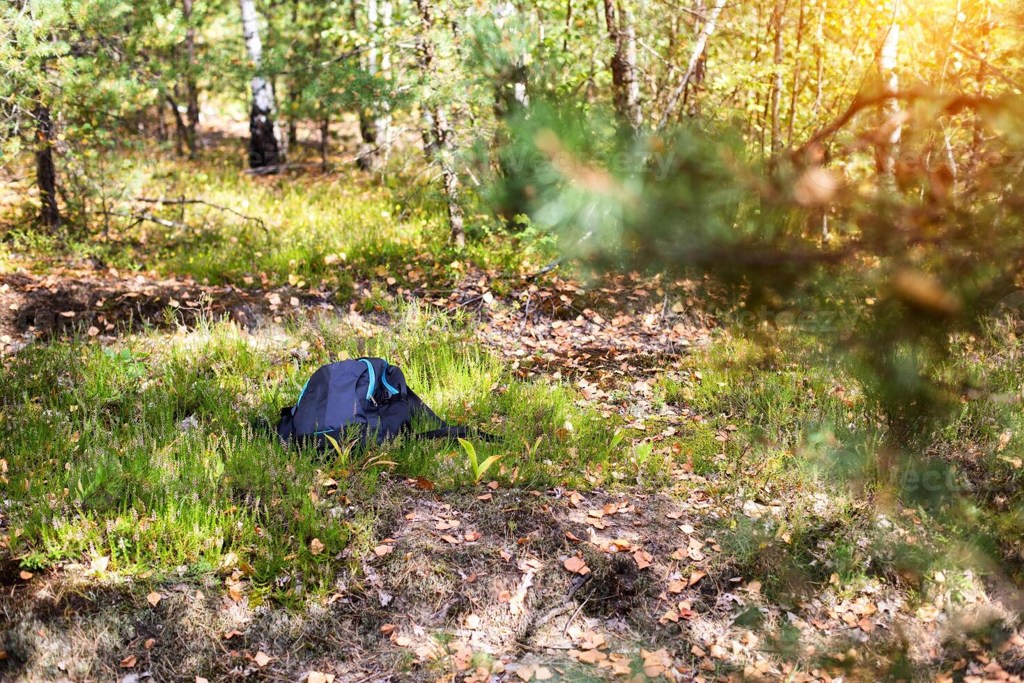 The man's backpack lies on the grass in the forest. Missing person concept. An accident in the forest. Lost mushroom picker. Attack of a wild animal. Fatal outcome. Copy space for text photo