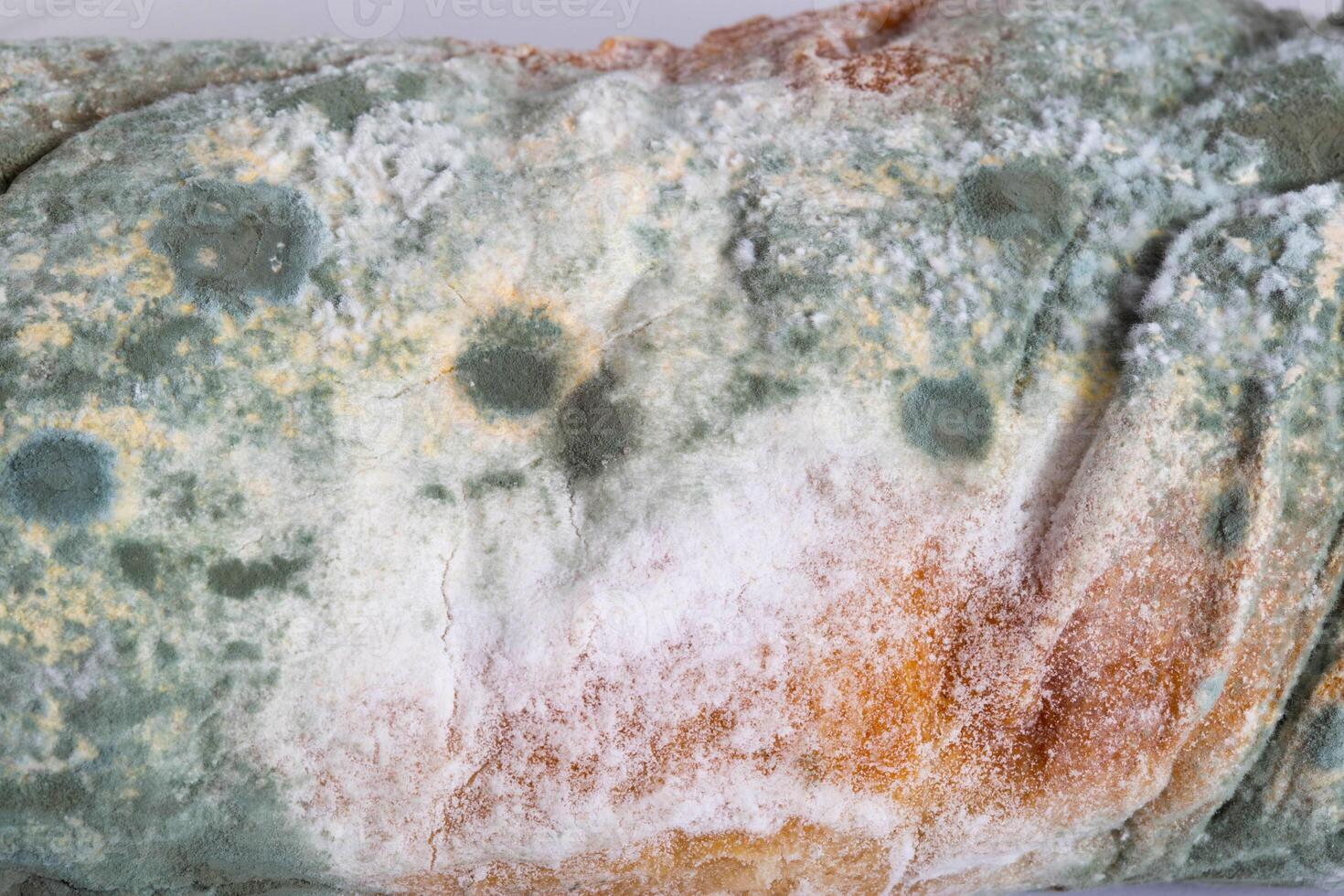 Green moldy bread on a white background, isolate. Loaf with mold, macro photo