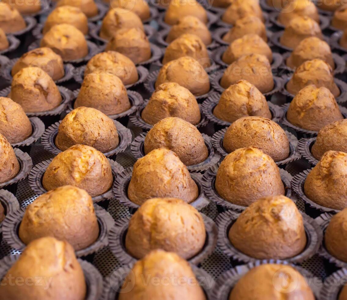 A tray of delicious fresh pastries made from muffins and muffins. lots of chocolate muffins, background, bakery products photo