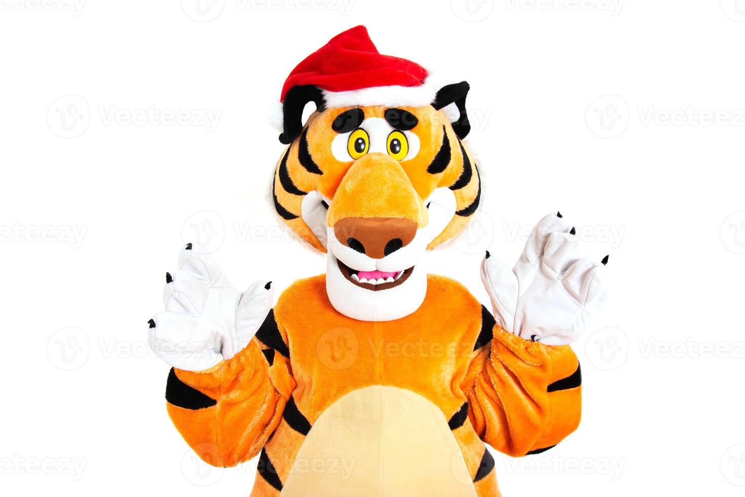 Orange plush new year tiger with red santa claus hat on his head, white background, isolate. Christmas and New Year 2022 photo