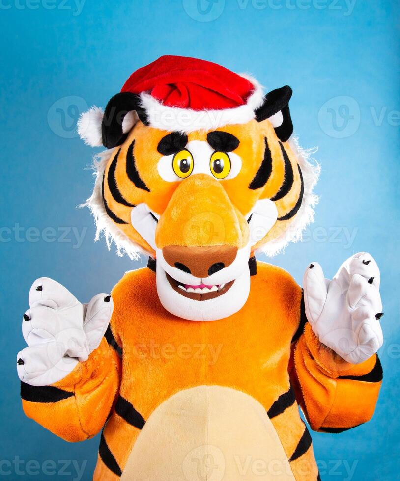 Orange soft tiger in a red santa claus hat on a blue background. Birthday and New Years 2022 concept photo