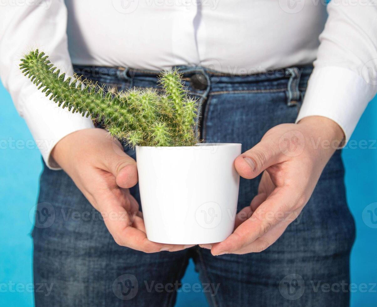 A man holds a white pot with a cactus in his hands against the background of his groin. The concept of care and hygiene in the groin area, intimate haircut, close-up photo