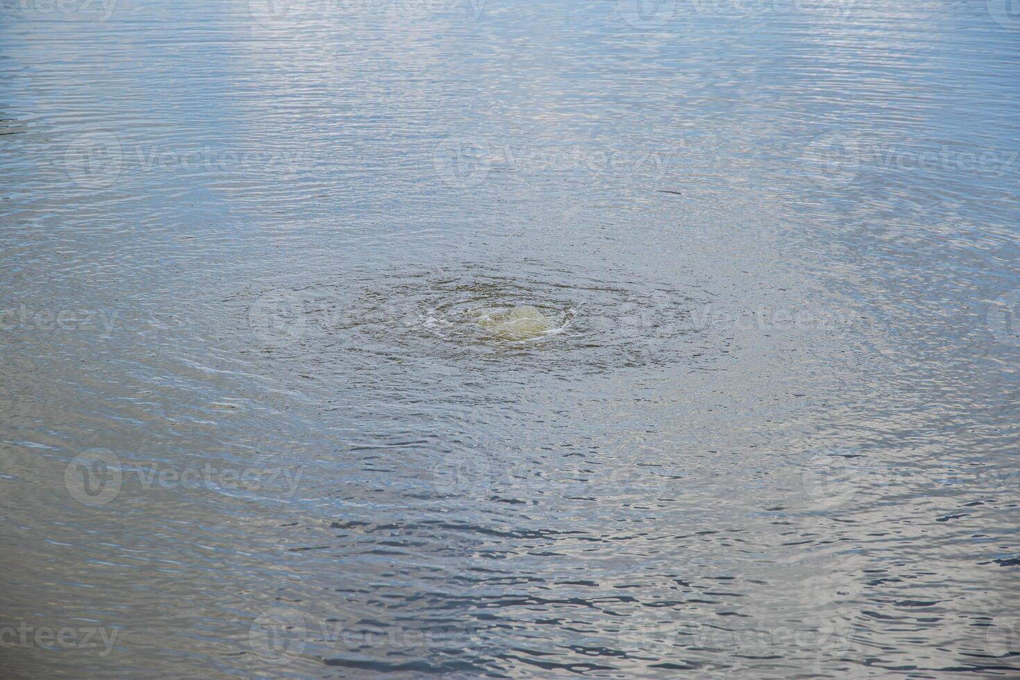 Boerbols on the water in the lake. The concept of an accident drowning a person. Danger on the water, close-up photo