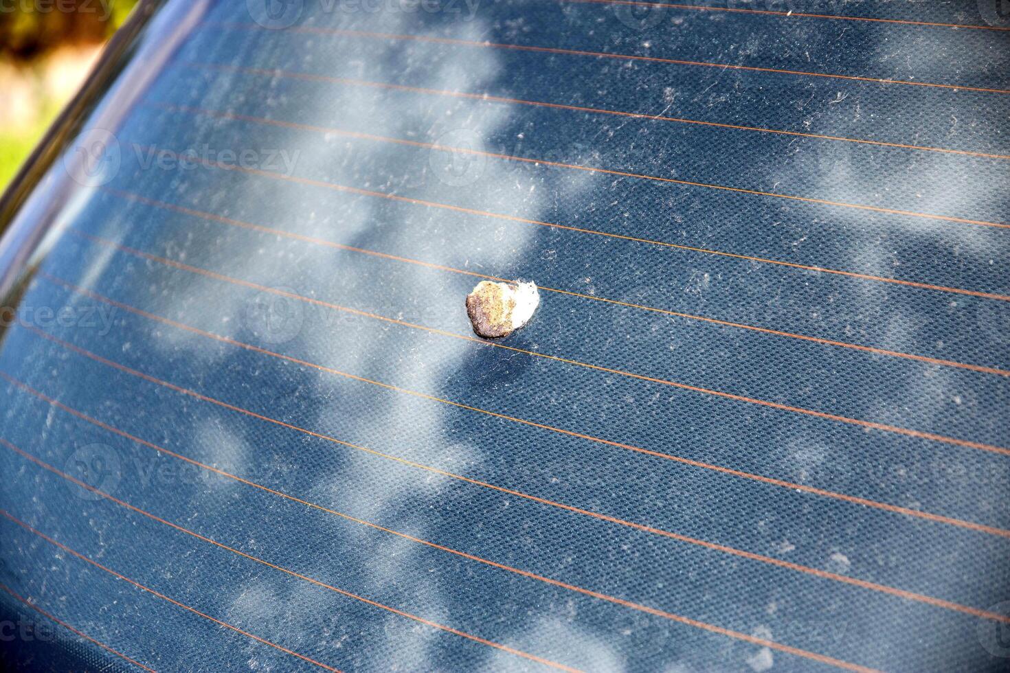Bird droppings on car glass, damage from droppings to a car. Copy space for text photo