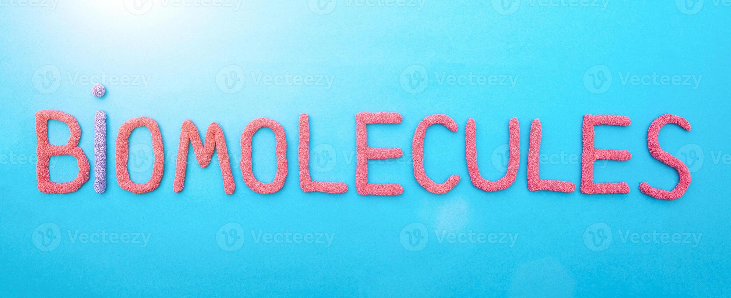 Inscription biomolecule in red letters on a blue background. The concept of the section of science in biology photo