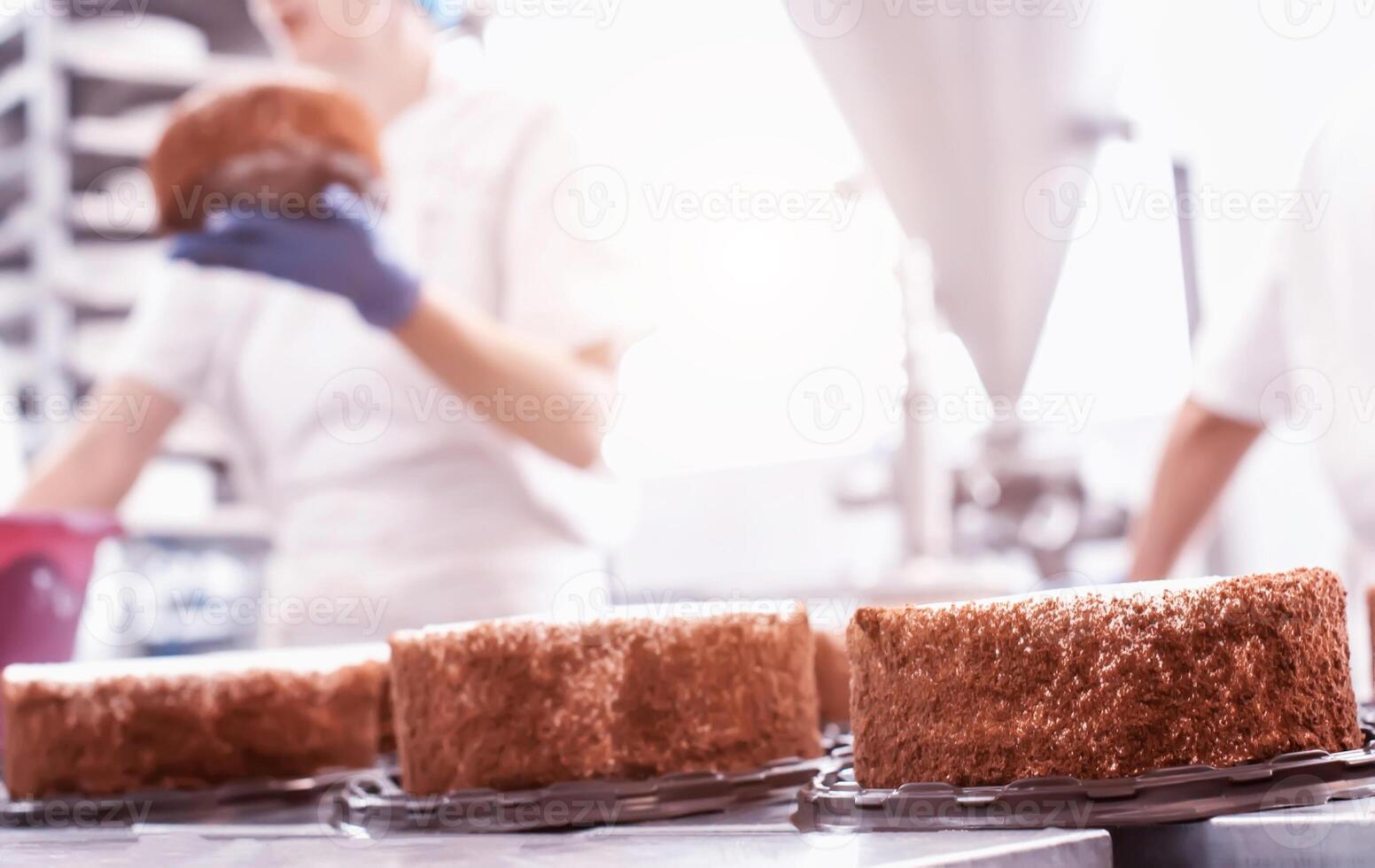 Mass production of cakes and sweets at the confectionery factory. Chefs make cakes of fresh berries and biscuit, food industry, copy space photo