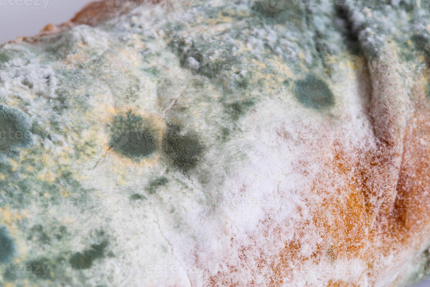 Green moldy bread on a white background, isolate. Loaf with mold, macro photo